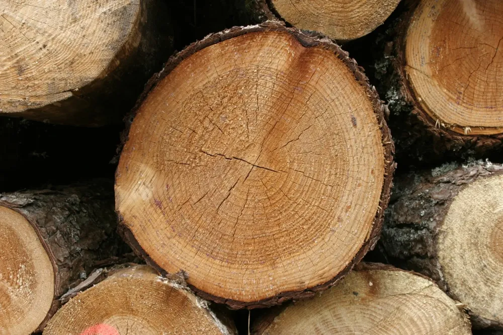 Location fendeuse bois à Plourhan
